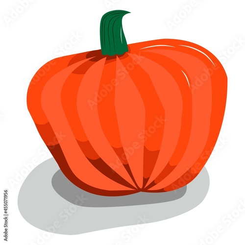 Round, slightly flattened pumpkin. Orange-red shades. 