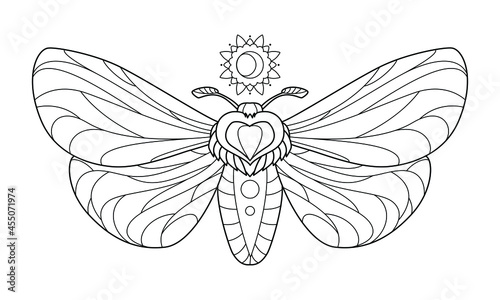 Butterfly, night-fly. Outline vector illustration for coloring book. Antistress for adults and children. 