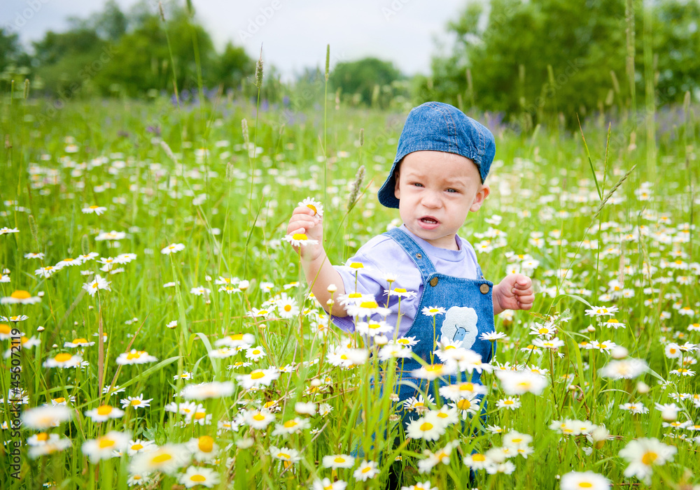 a pretty little boy walks through a field with flowers daisies and sage in the village a pretty little boy walks through a field with flowers daisies and sage in the village