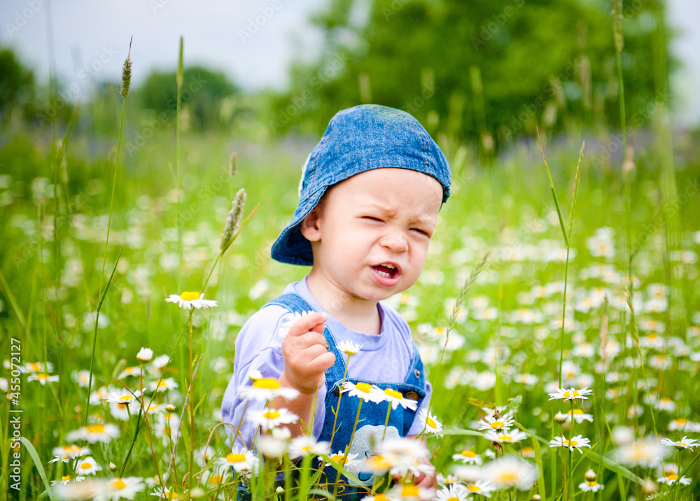 a pretty little boy walks through a field with flowers daisies and sage in the village a pretty little boy walks through a field with flowers daisies and sage in the village
