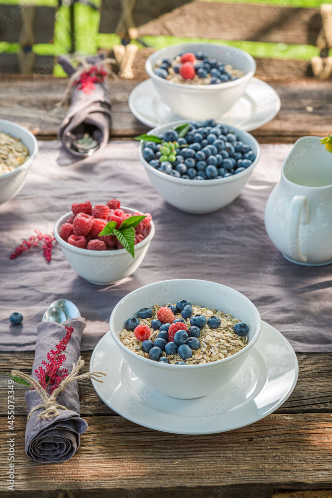 Tasty breakfast with berries and milk. Table in sunny garden. Tasty breakfast with berries and milk. Table in sunny garden.