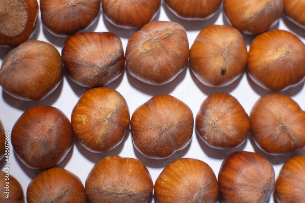 Nuts in shell, hazelnuts on a white background. heap or pile of nuts. Nuts background, healthy food Nuts in shell, hazelnuts on a white background. heap or pile of nuts. Nuts background, healthy food
