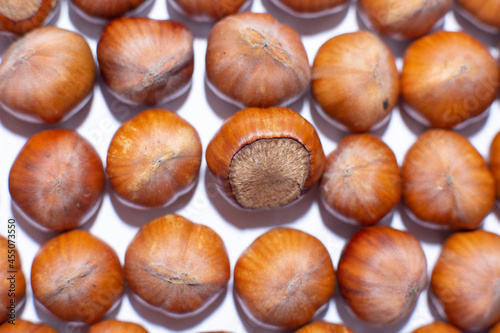 Nuts in shell, hazelnuts on a white background. heap or pile of nuts. Nuts background, healthy food