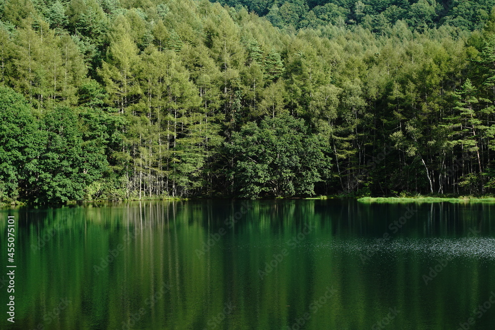 A scenic pond in the mountains at an altitude of 1,500 m in Nagano Japan. A scenic pond in the mountains at an altitude of 1,500 m in Nagano Japan.