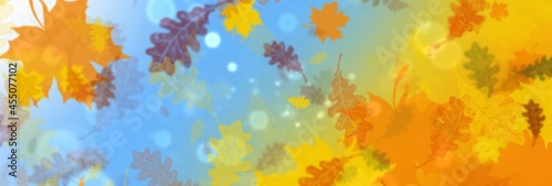 Banner on the autumn theme. Background with autumn leaves 