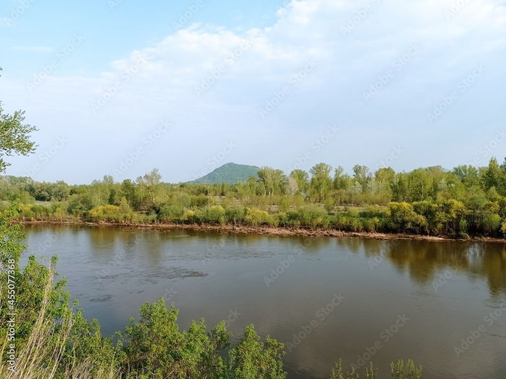 Fototapeta premium lake in the forest