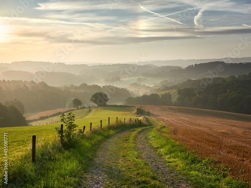 Rural landscape in the German city of Velbert at sunrise in the Bergisches Land region. A dirt road in the foreground and hazy woods in the background