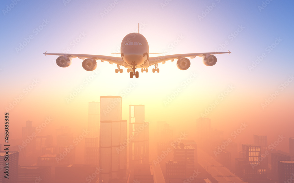 Fototapeta premium The plane