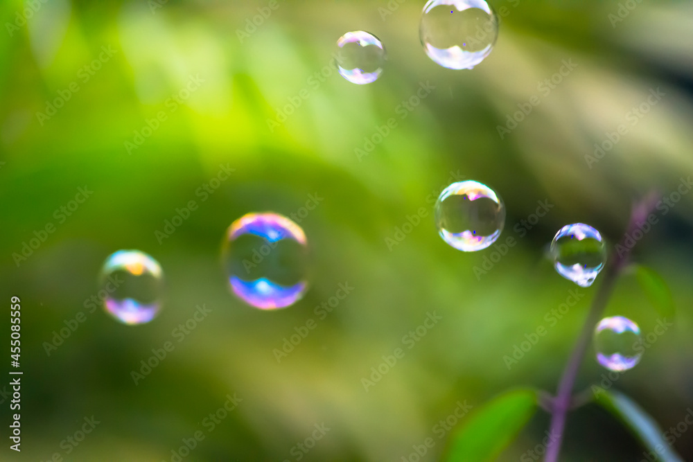 Water bubbles floating and falling on green leaves