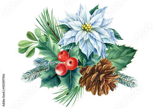 Cone, poinsettia and holly. Christmas decoration on white background, watercolor drawings. Xams Clipart 