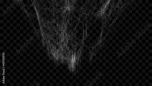 Realistic spider web. Hanging cobweb for halloween design. Vector illustration.