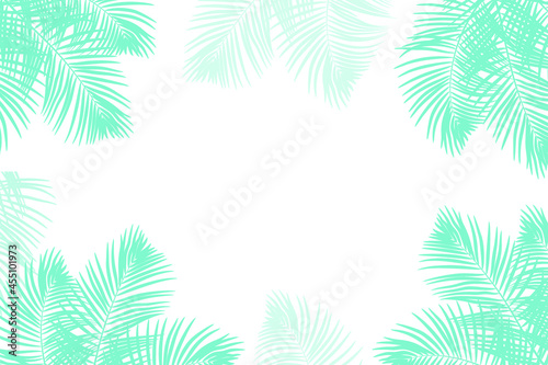 Tropical background with palm tree leaves. Jungle forest. Leaves of the tropical trees as frame. 