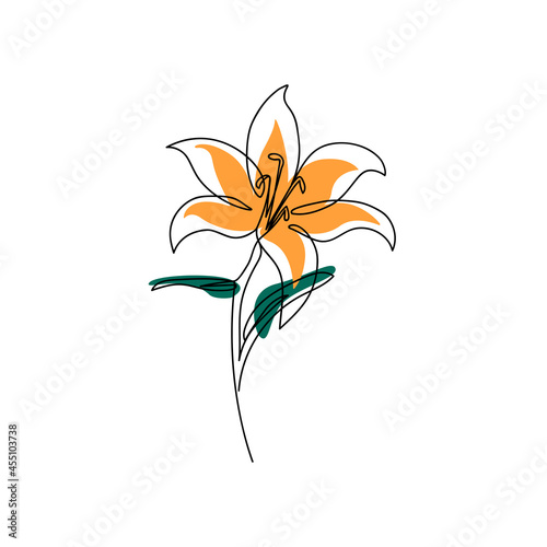 The lily flower is drawn with a single line. Linear art. Flower continuous line drawing. Isolated on a white background with colored abstract figures. Vector.