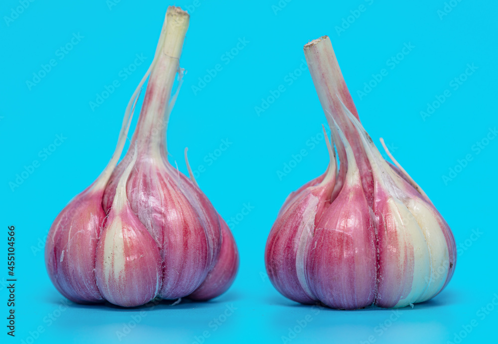 Fototapeta premium Garlic isolated on blue background.