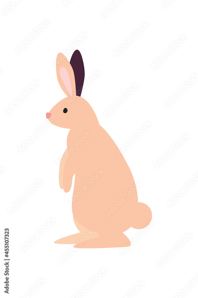 pink rabbit standing pink rabbit standing