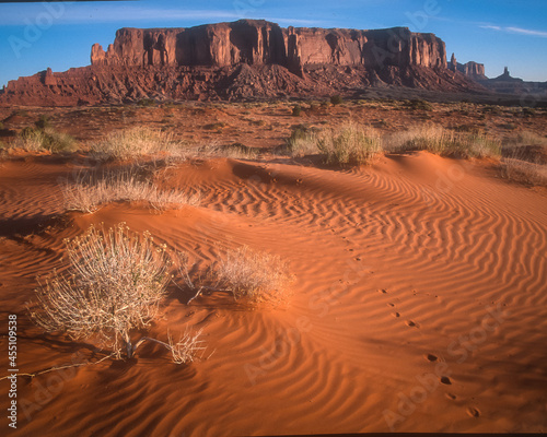 grand canyon state