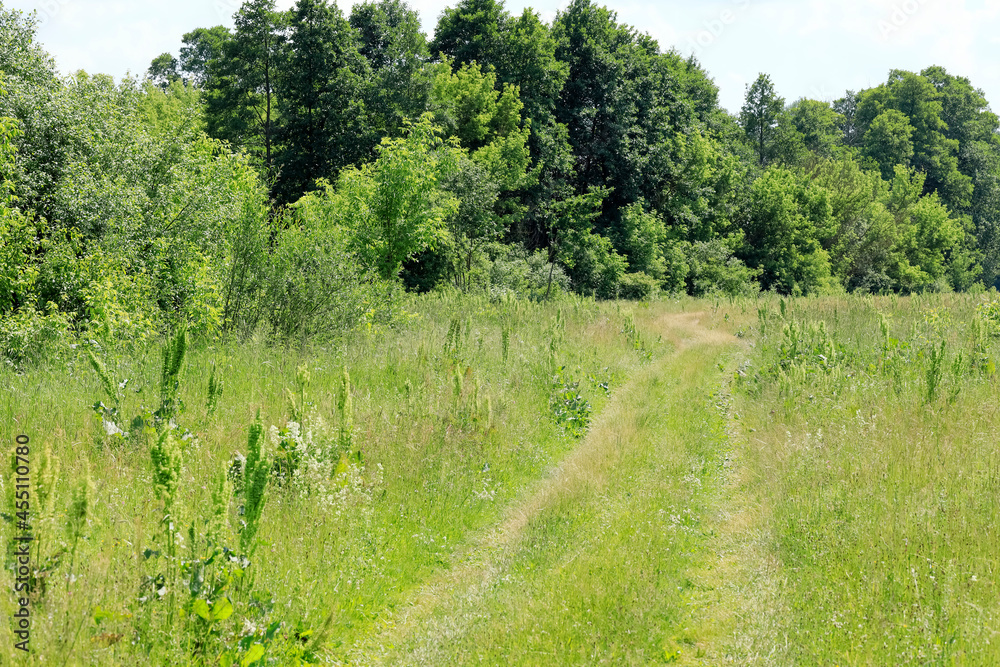 The dirt road through the fields The dirt road through the fields
