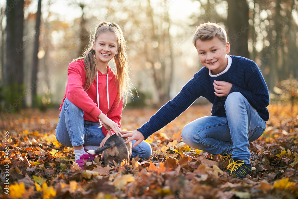 Boy and girl smiling and playing with little dog in beautiful autumn forest. Concept of weekend brother and sister. Boy and girl smiling and playing with little dog in beautiful autumn forest. Concept of weekend brother and sister.