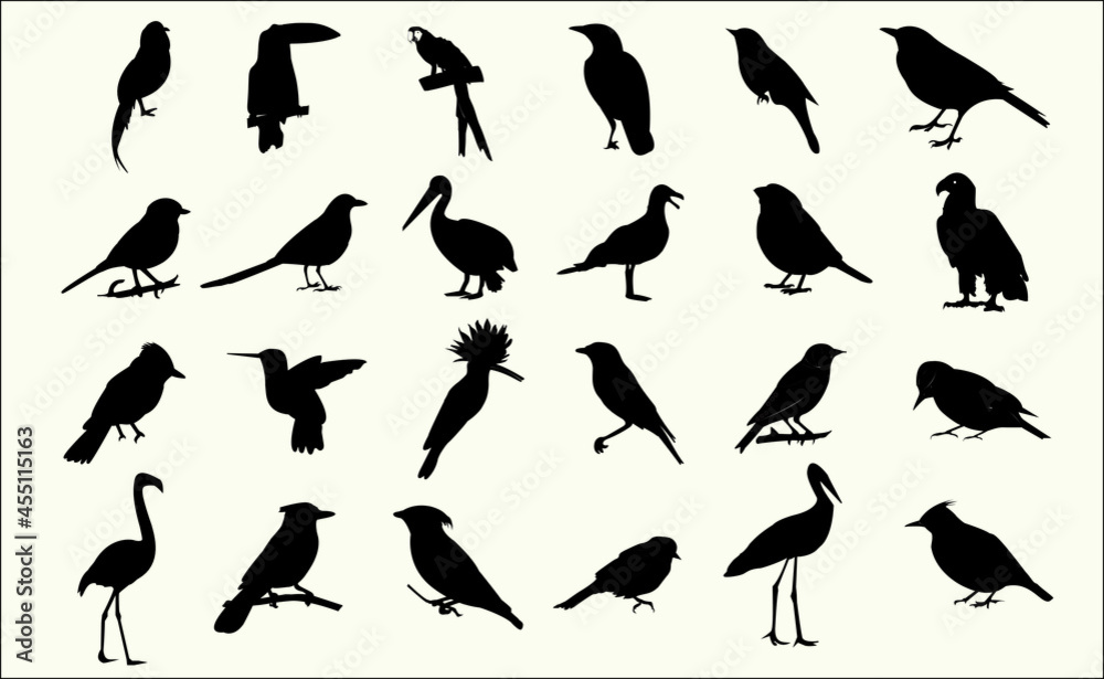 Fototapeta premium vector black silhouette birds collection set