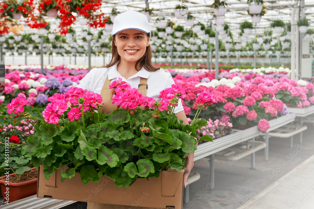 Front view portrait of smiling attractive young woman in special beige uniform holding paper box with beautiful pink flowers on greenhouse background. Concept of care for plants.