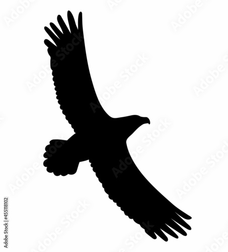 Eagle flying. Vector black drawing silhouette image.