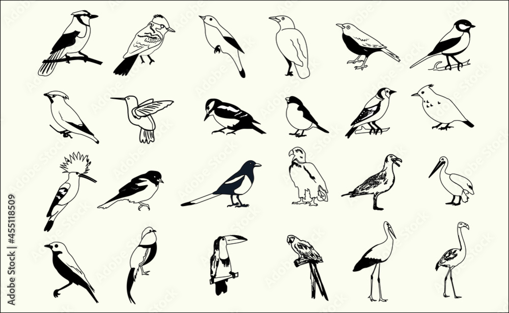 vector black outline birds collection set eps 10