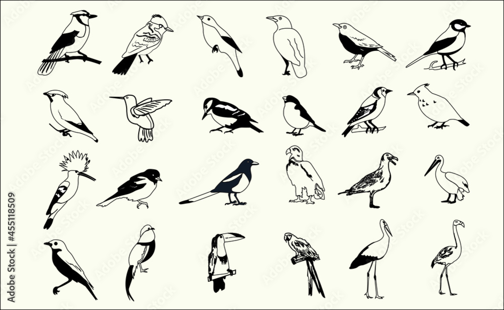 Fototapeta premium vector black outline birds collection set eps 10