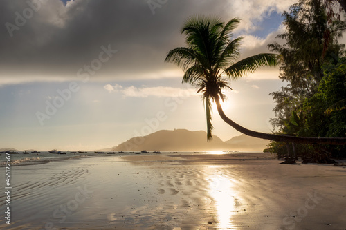 Tropical beach at sunrise. Silhouette of coco palm on the beach at sunrise in tropical island, Praslin, Seychelles.