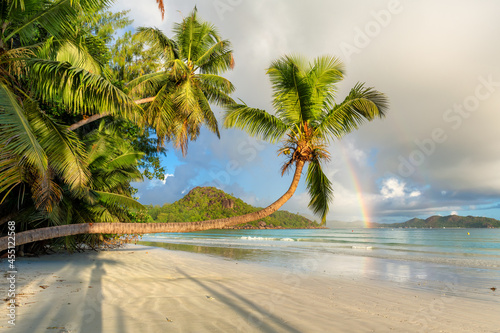 Tropical beach at sunrise. Palm trees on the beach at sunrise in tropical island, Praslin, Seychelles.