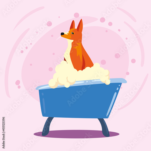 puppy bathing in blue tub