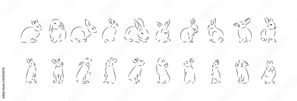 Rabbit contour, collection with rabbits in different positions, vector set with line art.