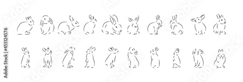 Rabbit contour  collection with rabbits in different positions  vector set with line art.