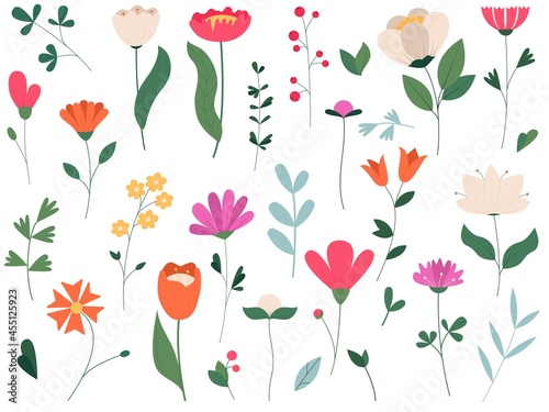 Collection of blooming flowers and leaves. Spring floral flat vector illustration isolated on white background