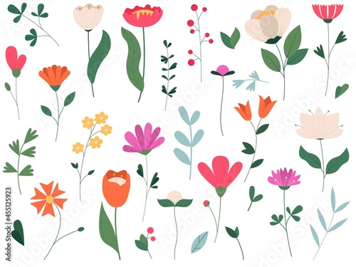 Wallpaper Mural Collection of  blooming flowers and leaves. Spring floral flat vector illustration isolated on white background Torontodigital.ca