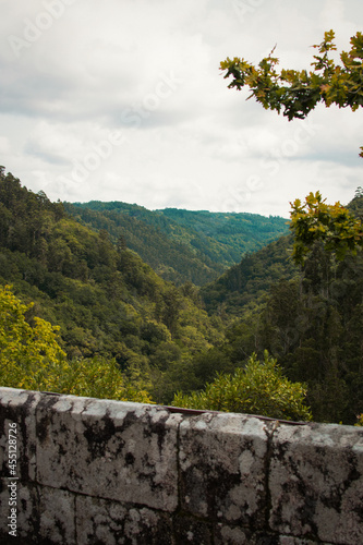 Naturaleza del norte de Galicia, arboles en las alturas 