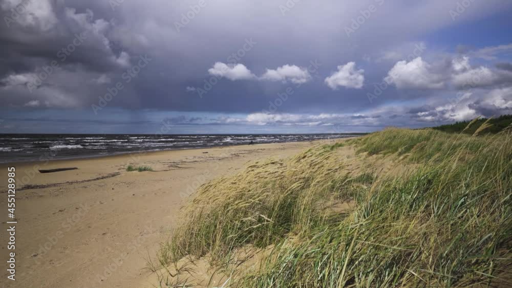 A strong wind shakes the tall grass on the sandy beach of the Gulf of Riga. The beginning of autumn in the Baltic in September. A man sits to a chair on the shore and looks out to sea. Blue clear sky A strong wind shakes the tall grass on the sandy beach of the Gulf of Riga. The beginning of autumn in the Baltic in September. A man sits to a chair on the shore and looks out to sea. Blue clear sky