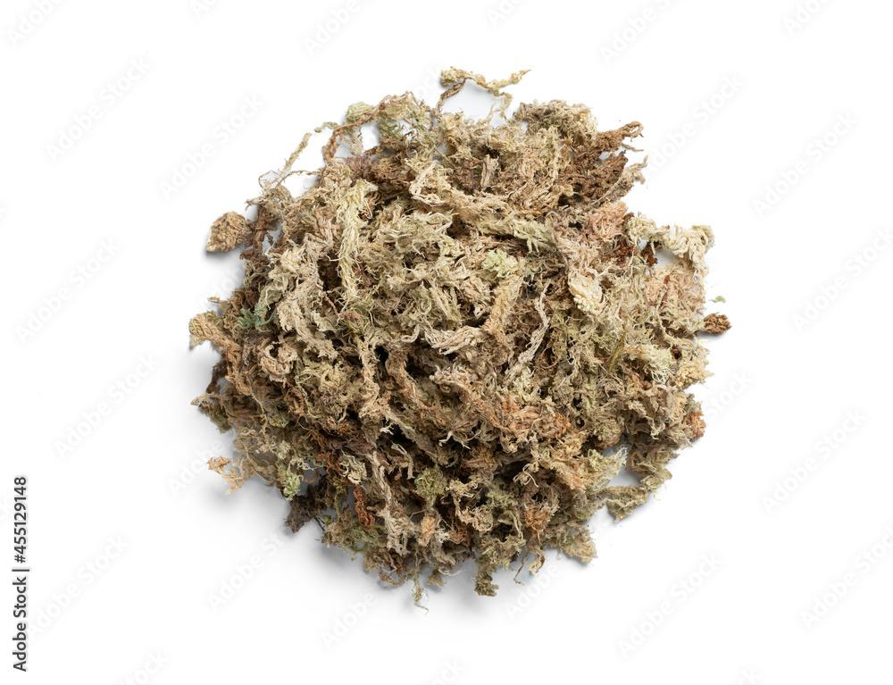 Sphagnum moss used for plant propagation or plant the orchid Sphagnum moss used for plant propagation or plant the orchid