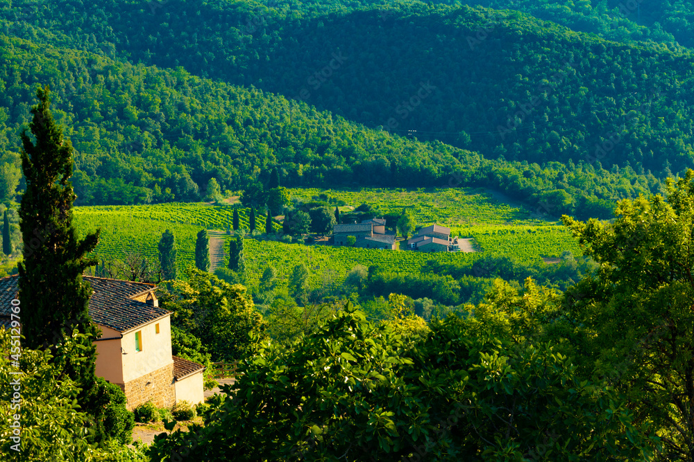 Typical landscape of Tuscany, in Italy