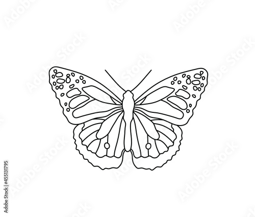 Vector isolated butterfly line drawing. Colorless contour black line butterfly graphic sketch icon logotype