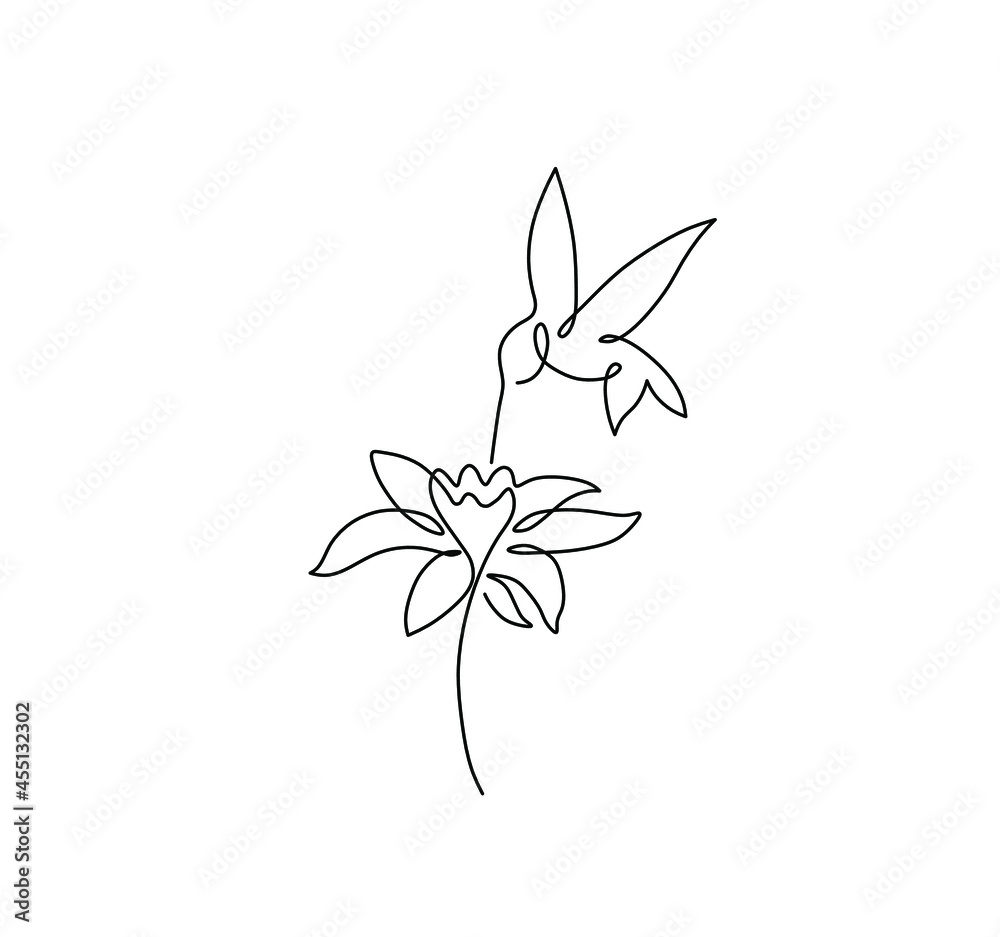 Vector isolated flying hummingbird with flower one line drawing ...