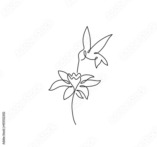 Vector isolated flying hummingbird with flower one line drawing. Hummingbird single line graphic sketch.