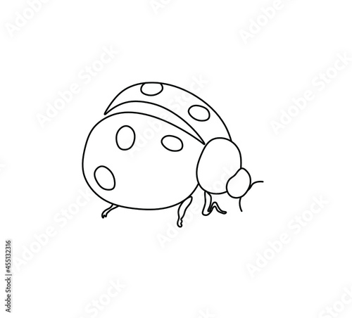 Vector isolated ladybug line drawing. Colorless black and white ladybug contour line graphic doodle sketch
