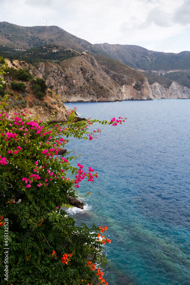 Bougainvillea pink flowers bush over the fantastic azure sea water of greek island.