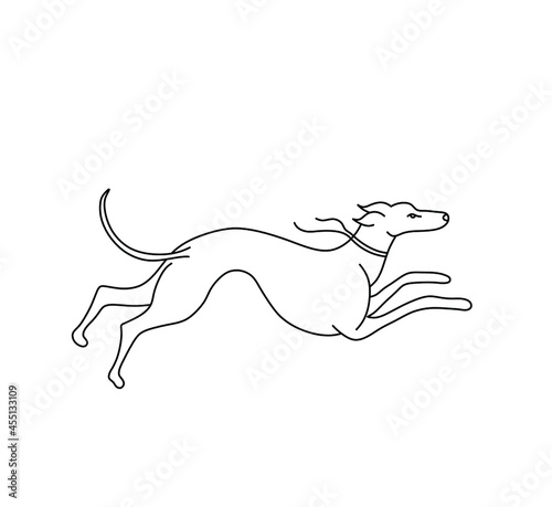 Vector isolated running hound dog contour black line graphic drawing. Greyhound grahic art poster element
