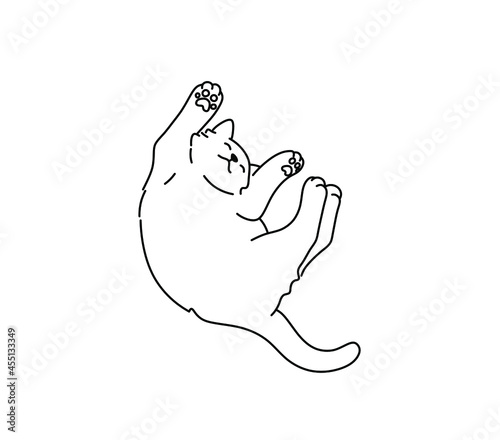 Vector isolated cute cartoon sleeping lazy cat contour black line drawing