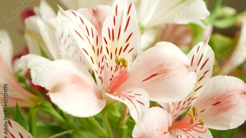white pink lily flowers bouquet romance and valentines day concept