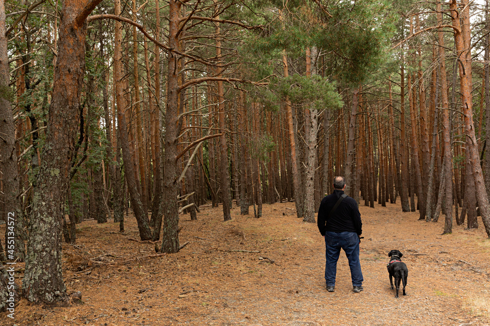 Hombre paseando con su perro en un bosque.