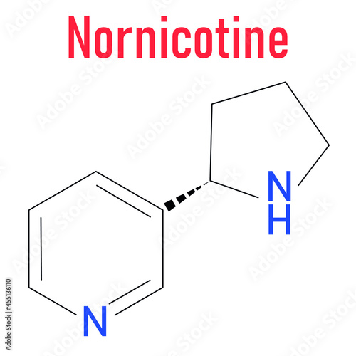 Nornicotine alkaloid molecule. Related to nicotine and also found in Nicotiana plants. Skeletal formula. photo