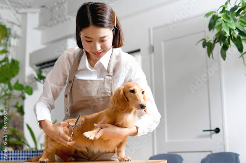 犬（ペット）のトリミングやカットをするトリマーの若い女性 