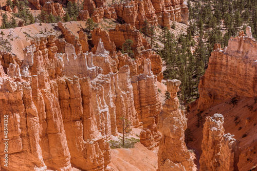 Closeup view of the pines and rock fromations at the base of Bryce Canyon